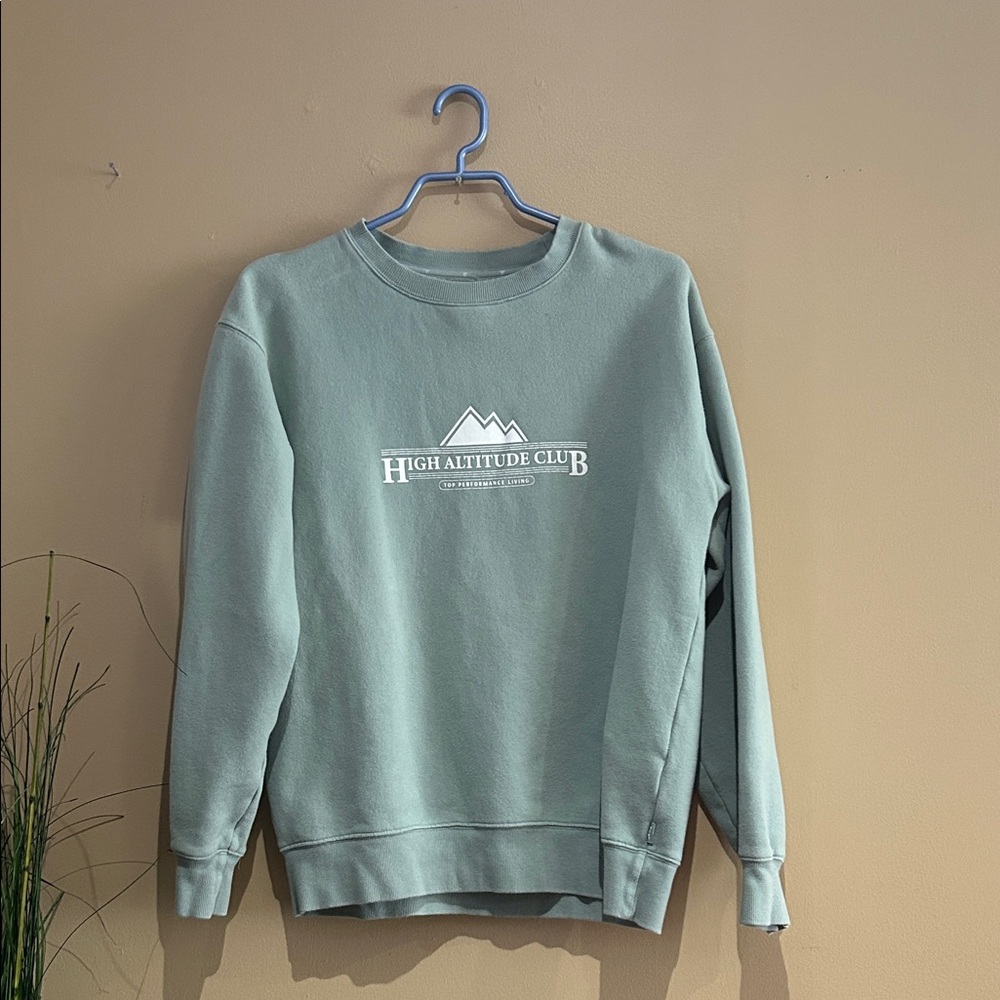 Aritzia Sage Green High Altitude Club Logo Crew Sweatshirt